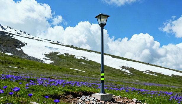 solar street lights